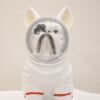 Astronaut Bulldog Decorative Showpiece