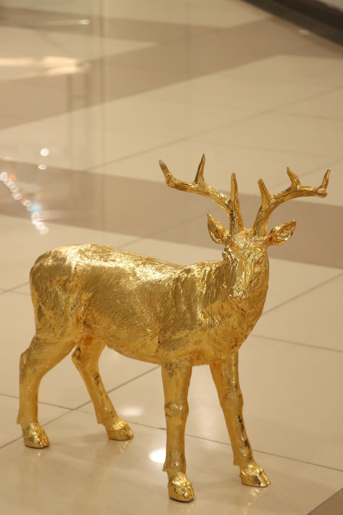 Majestic Golden Stag
